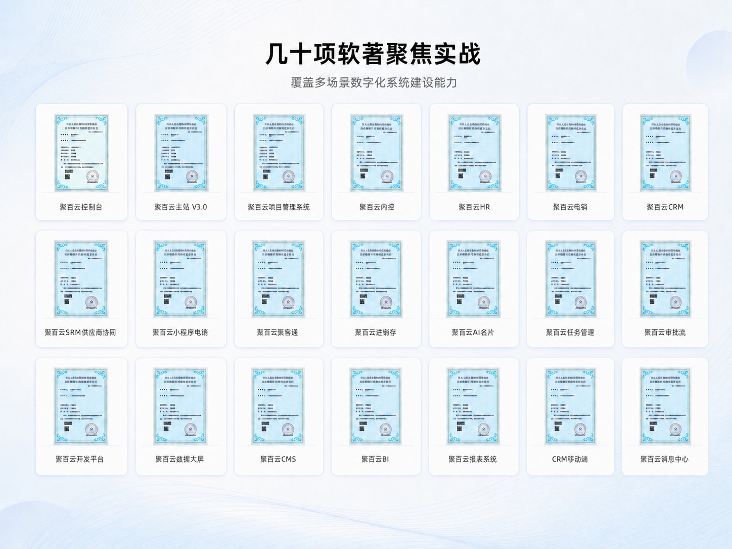 聚百云软件著作权与数字化系统建设能力概览