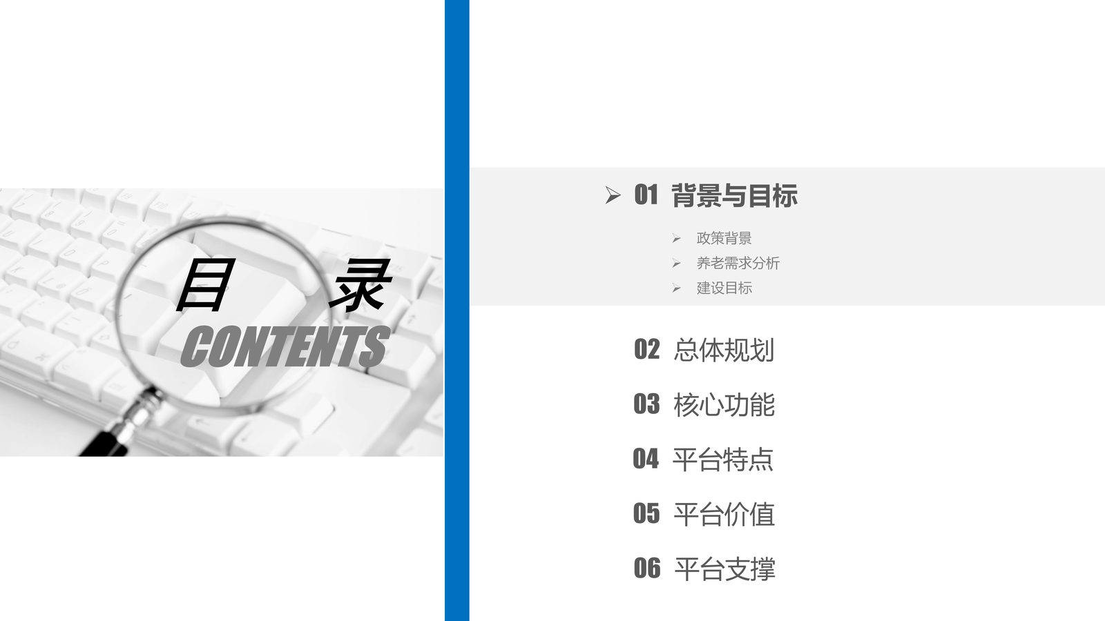 养老系统 第 1 页